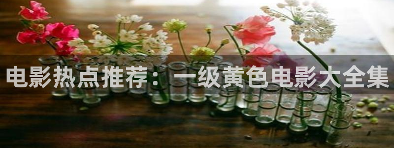 神马影院秋霞在线