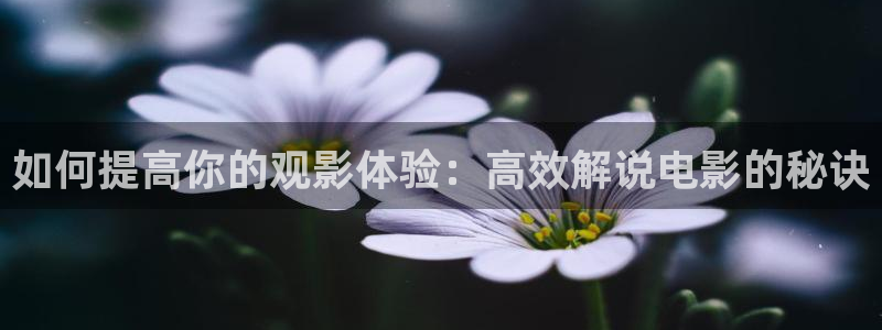 秋霞私人影院：如何提高你的观影体验：高效解说电影的秘诀