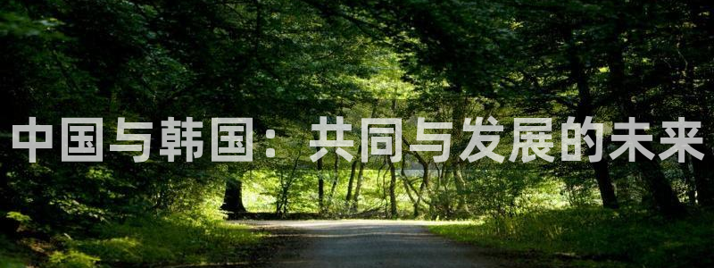 秋霞电影在线：中国与韩国：共同与发展的未来