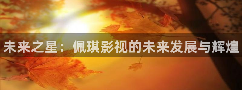 午夜秋霞影视网：未来之星：佩琪影视的未来发展与辉煌