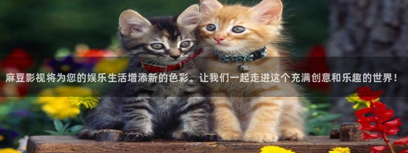 秋霞电影全集