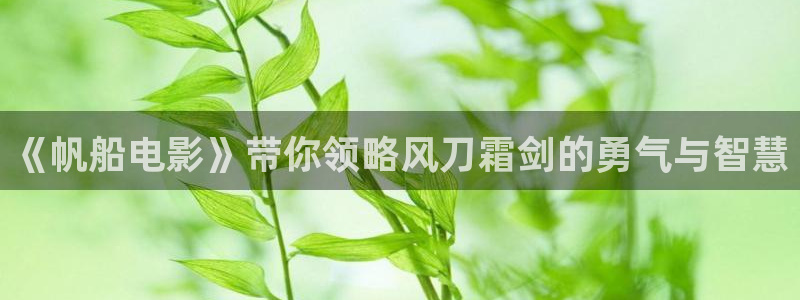 秋霞网电影网在线观看：《帆船电影》带你领略风刀霜剑的勇气与智慧