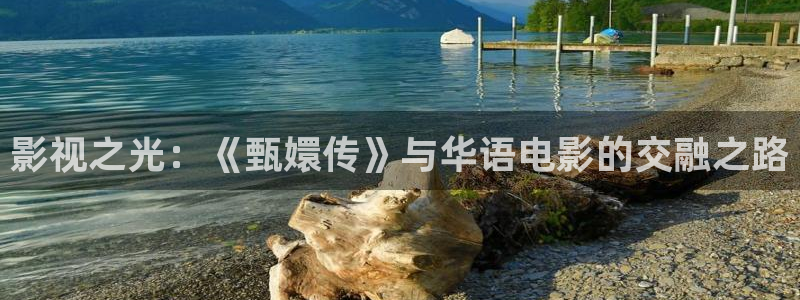 good秋霞电影：影视之光：《甄嬛传》与华语电影的交融之路