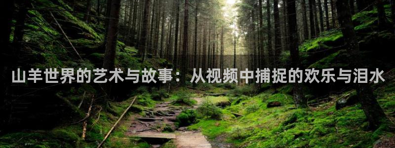 秋霞电影网高清