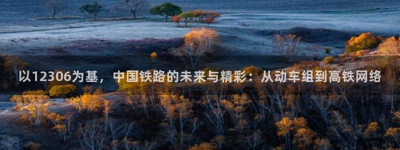 秋霞最新影视：以12306为基，中国铁路的未来与精彩：从动车组到高铁网络