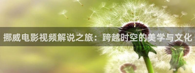 秋霞高清观看视频