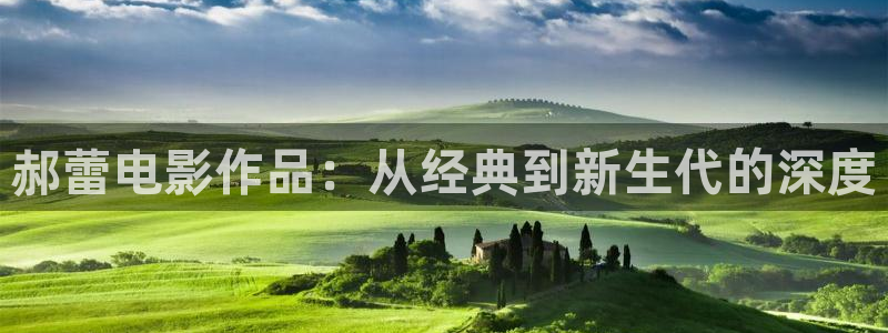 秋霞网看片资源