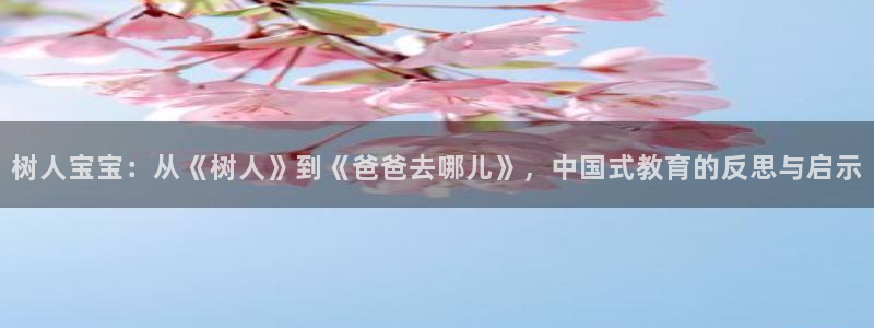 秋霞电影网午夜伦理片：树人宝宝：从《树人》到《爸爸去哪儿》，中国式教育的反思与启示