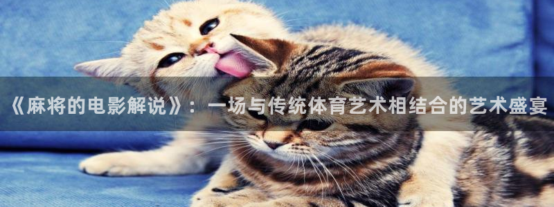 秋霞网h