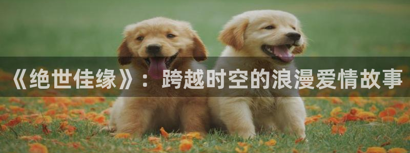 秋霞伦理视频
