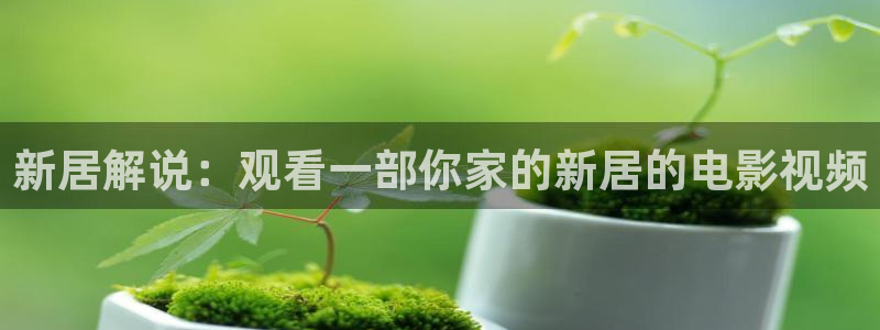 秋霞免费网站