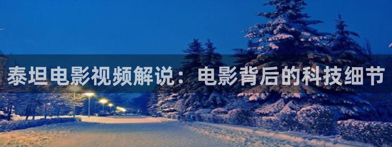 秋霞伦理片在线