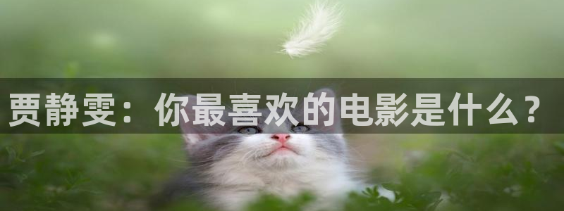 秋霞成人在线影院