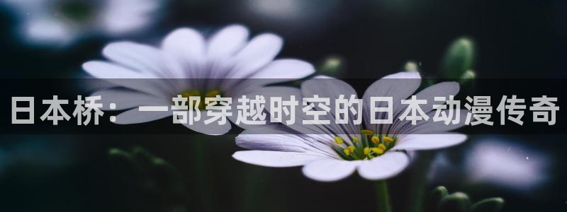秋霞吉吉影音：日本桥：一部穿越时空的日本动漫传奇