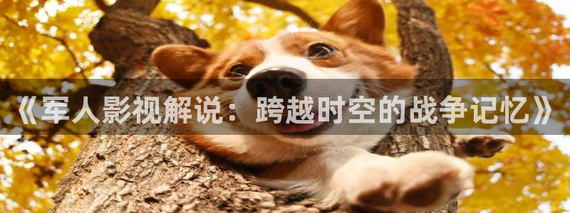 秋霞网勉费