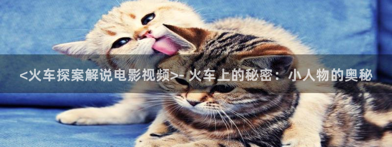 秋霞门电影网：<火车探案解说电影视频>- 火车上的秘密：小人物的奥秘