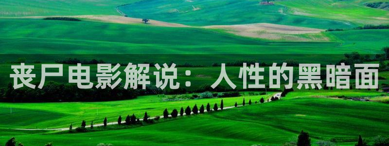 秋霞在线观看电影：丧尸电影解说：人性的黑暗面