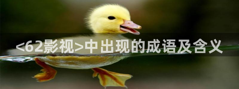 秋霞电影在澳门：<62影视>中出现的成语及含义