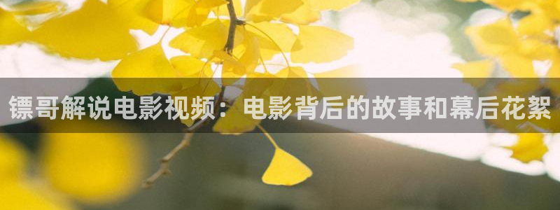 秋霞影音在线：镖哥解说电影视频：电影背后的故事和幕后花絮