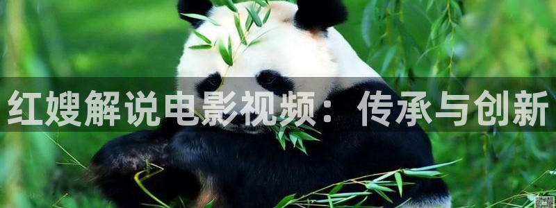 韩国秋霞电影鲁丝片：红嫂解说电影视频：传承与创新