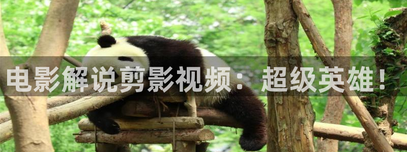 秋霞看：电影解说剪影视频：超级英雄！