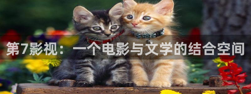 秋霞电影网午夜伦理片：第7影视：一个电影与文学的结合空间