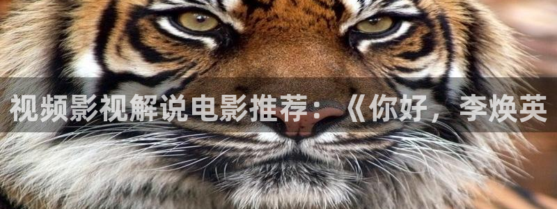 秋霞黄色拉丝网站：视频影视解说电影推荐：《你好，李焕英