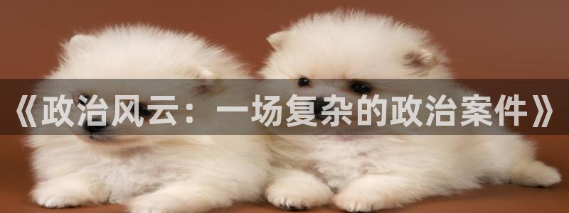 秋霞八戒网：《政治风云：一场复杂的政治案件》