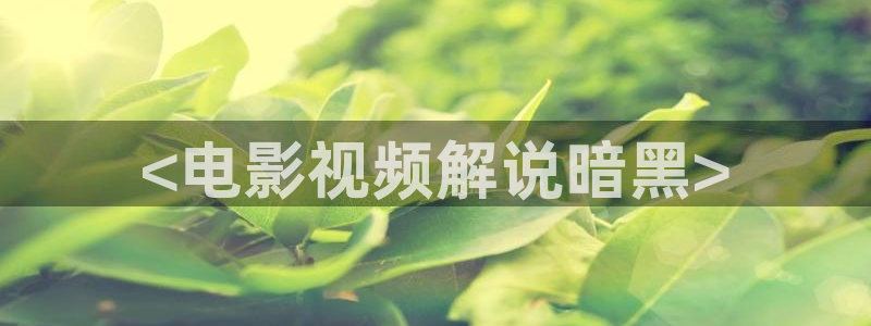 秋霞影视盒：<电影视频解说暗黑>