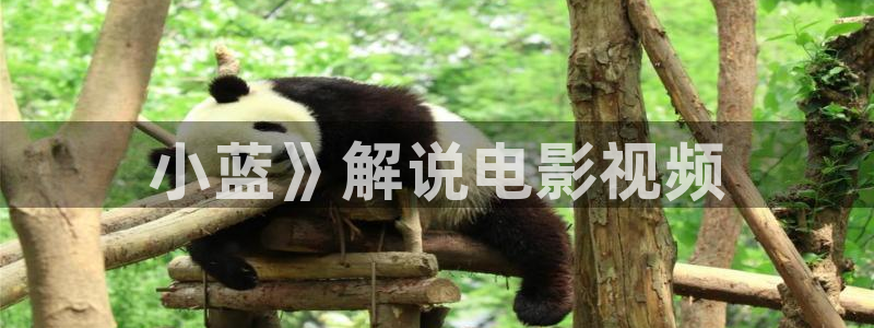 秋霞电影 秋霞电影：小蓝》解说电影视频