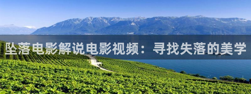秋霞电影高清视频在线观看：坠落电影解说电影视频：寻找失落的美学