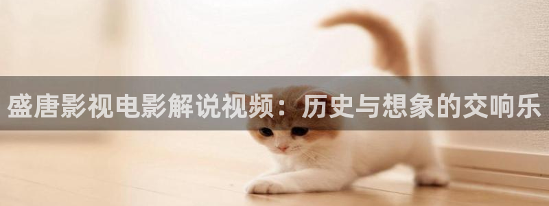 神马秋霞电影网：盛唐影视电影解说视频：历史与想象的交响乐