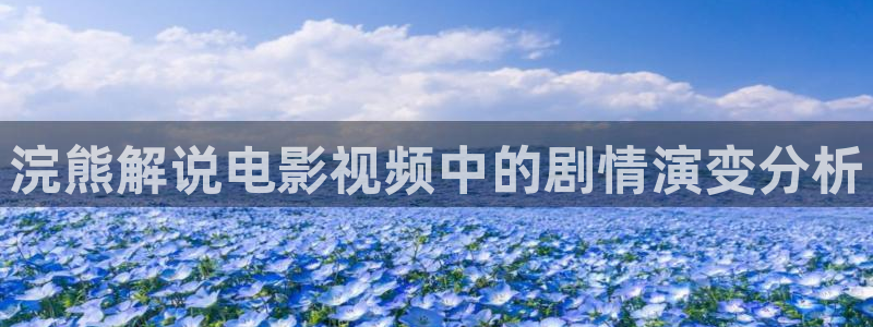 秋霞62伦理片：浣熊解说电影视频中的剧情演变分析