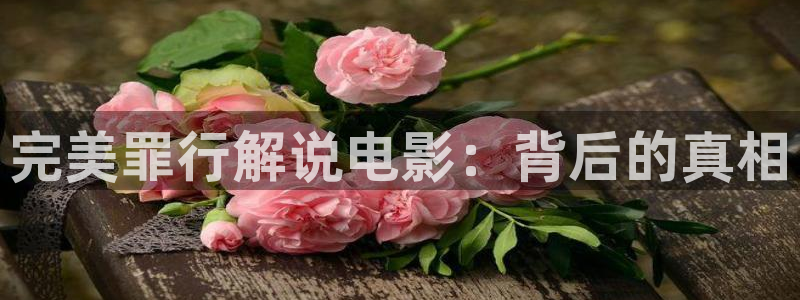秋霞网站片：完美罪行解说电影：背后的真相