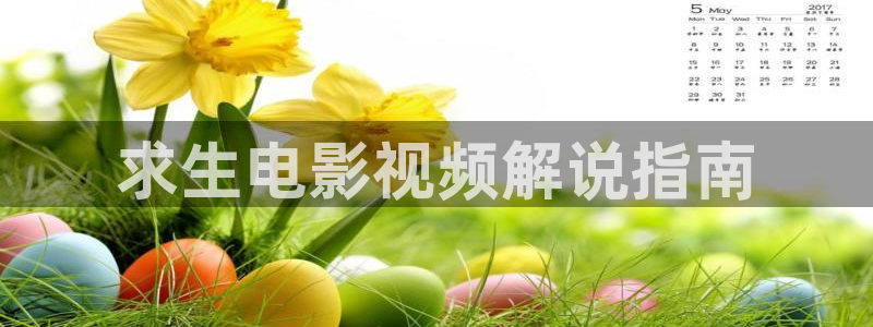 秋霞电影公司：求生电影视频解说指南