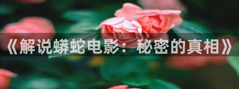 秋霞影院免费：《解说蟒蛇电影：秘密的真相》