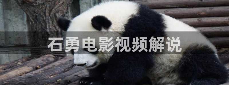 秋霞电影66：石勇电影视频解说