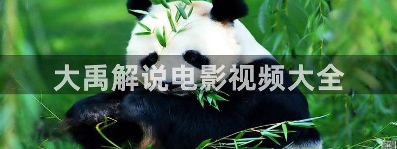 秋霞电影影院：大禹解说电影视频大全
