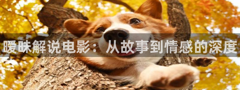 秋霞电影网午夜伦理免费：暧昧解说电影：从故事到情感的深度