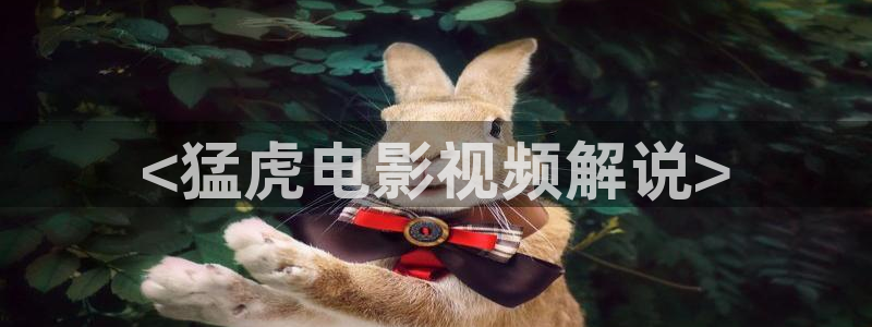 秋霞电影网新网址神马：<猛虎电影视频解说>