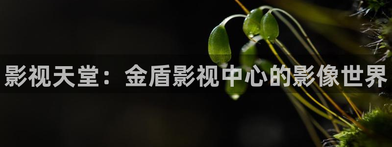 秋霞影院黄色片