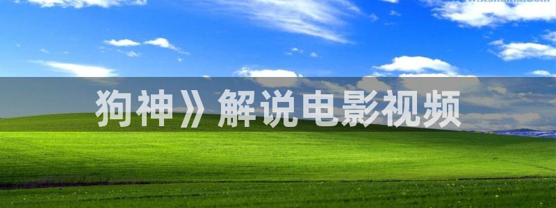 秋霞电影网理伦：狗神》解说电影视频