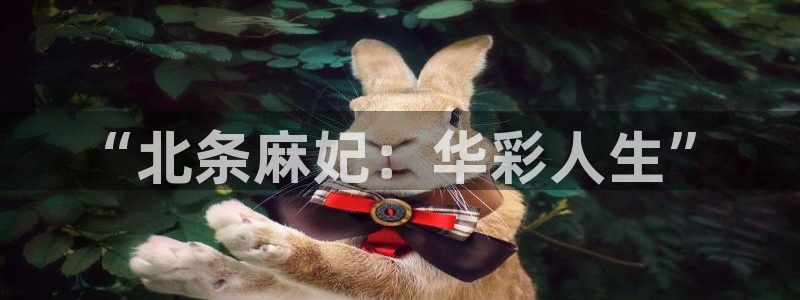 欧美秋霞电影：“北条麻妃：华彩人生”