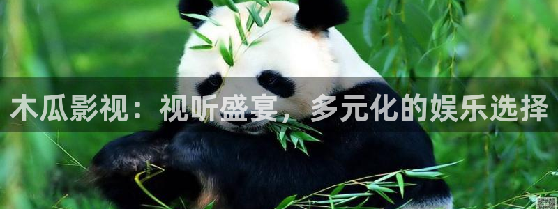 秋霞伦理视频免费观看：木瓜影视：视听盛宴，多元化的娱乐选择