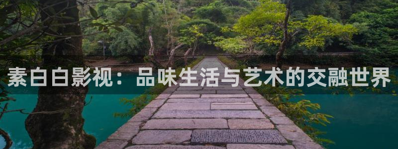 秋霞电影777：素白白影视：品味生活与艺术的交融世界