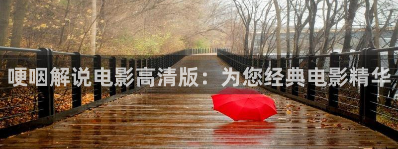 秋霞伦理高清视频：哽咽解说电影高清版：为您经典电影精华