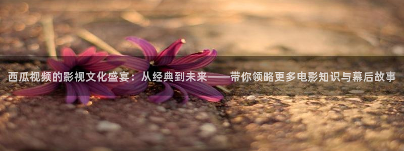 秋霞6666：西瓜视频的影视文化盛宴：从经典到未来——带你领略更多电影知识与幕后故事
