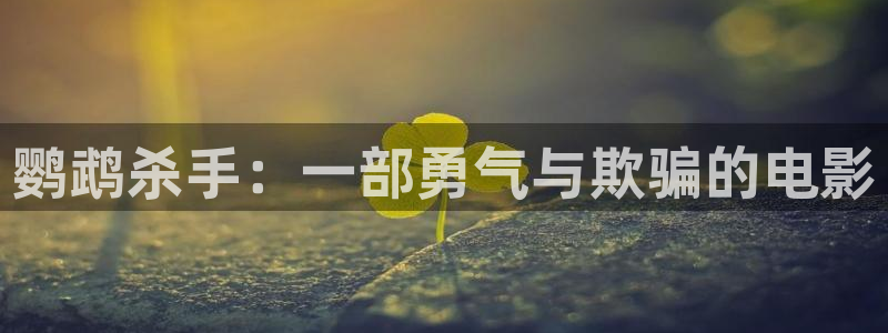 被窝电影秋霞影院：鹦鹉杀手：一部勇气与欺骗的电影