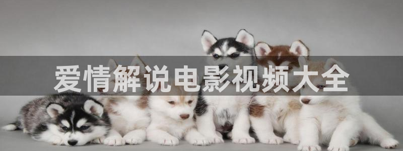秋霞av午夜：爱情解说电影视频大全