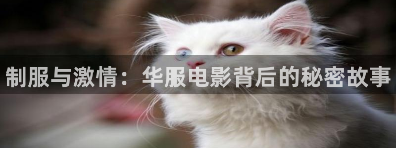 秋霞性网站：制服与激情：华服电影背后的秘密故事